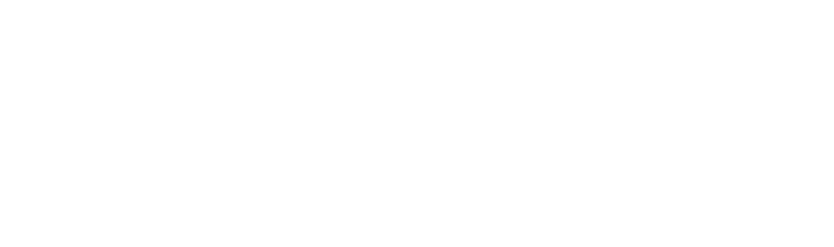 maverick risk